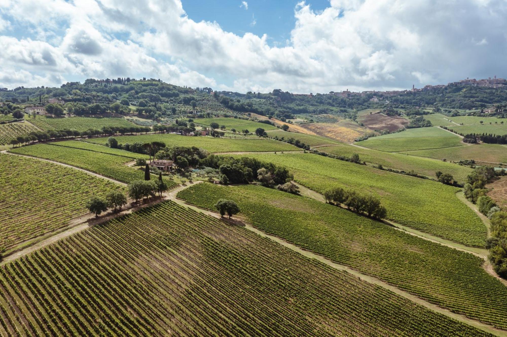 Villa Talosa Montepulciano Stazione المظهر الخارجي الصورة