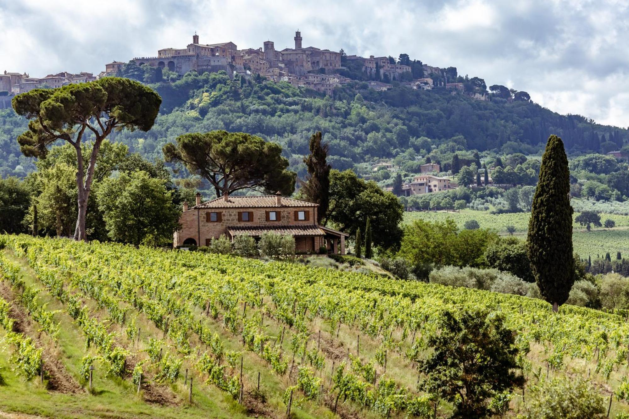 Villa Talosa Montepulciano Stazione المظهر الخارجي الصورة